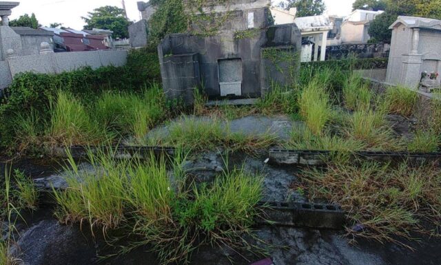 F家清掃【那覇市】／G家清掃【那覇市】